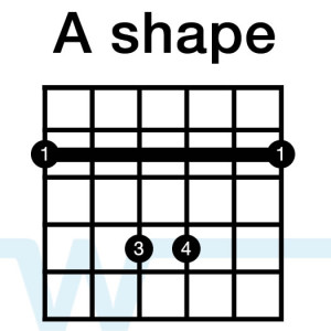 A shape