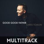 GoodGoodFather-Tomlin-Multitrack