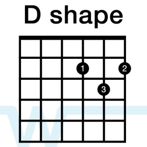D shape chords